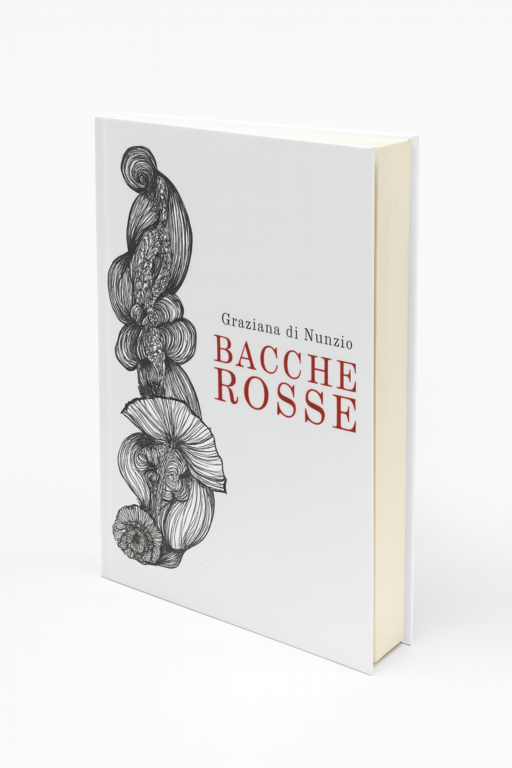 Illustrazione Bacche Rosse